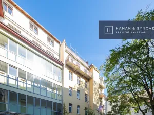 Pronájem bytu 2+1, Brno, Anenská, 52 m2