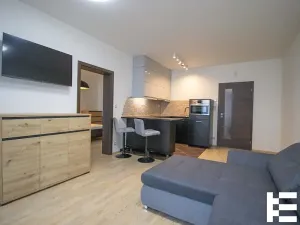 Pronájem bytu 2+kk, Praha - Žižkov, Olšanská, 52 m2