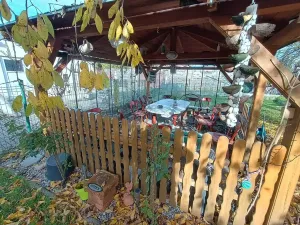 Prodej ubytování, Ostrov, Jáchymovská, 350 m2