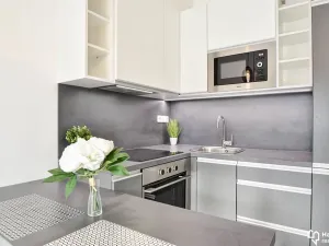 Pronájem bytu 1+kk, Olomouc, Věry Pánkové, 33 m2