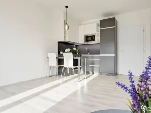 Pronájem bytu 1+kk, Olomouc, Věry Pánkové, 33 m2