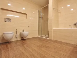 Pronájem bytu 2+kk, Brno, Anenská, 66 m2