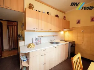 Prodej bytu 2+1, Lovosice, Sady pionýrů, 51 m2