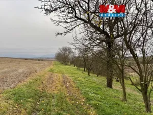 Prodej zahrady, Bezuchov, 901 m2