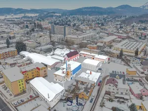 Prodej výrobních prostor, Nový Bor, Sklářská, 6477 m2