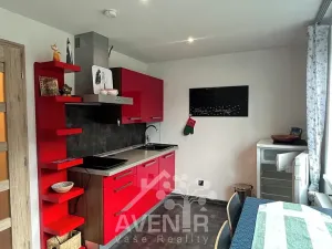 Pronájem bytu 1+1, Plavy, 45 m2