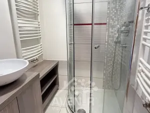 Pronájem bytu 1+1, Plavy, 45 m2