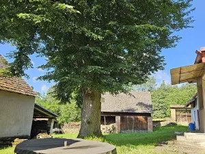 Prodej zemědělské usedlosti, Slabčice, 109 m2