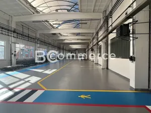 Pronájem výrobních prostor, Brno, Vídeňská, 1400 m2