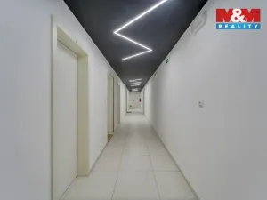 Prodej bytu 1+kk, Plzeň - Východní Předměstí, Slovanská, 39 m2