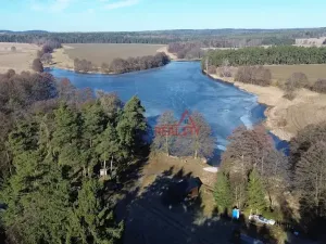 Prodej lesa, Čistá, 1294 m2