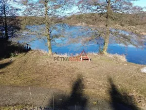 Prodej lesa, Čistá, 1294 m2