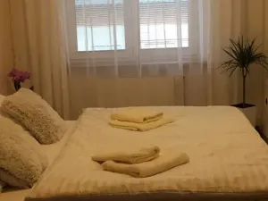 Prodej ubytování, Olomouc, Rejskova, 154 m2