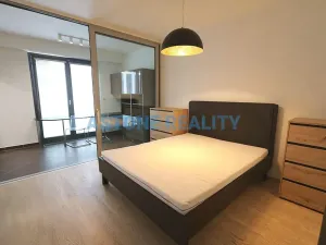 Pronájem bytu 2+kk, Praha - Žižkov, Olšanská, 59 m2