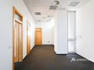 Pronájem kanceláře, Brno, 248 m2
