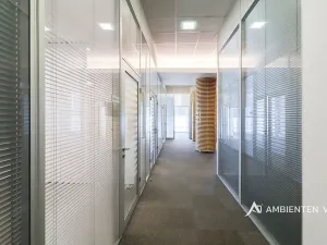 Pronájem kanceláře, Brno, 248 m2