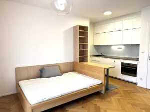 Pronájem bytu 1+kk, Praha - Žižkov, Kališnická, 40 m2
