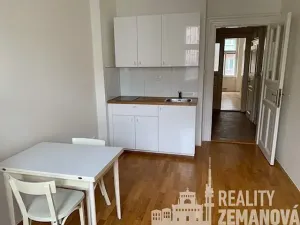 Pronájem bytu 1+1, Praha - Vinohrady, Řipská, 48 m2