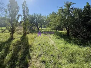 Pronájem zahrady, Olomouc - Droždín, Akátová, 1528 m2