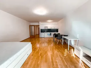 Pronájem bytu 1+kk, Praha - Žižkov, Malešická, 59 m2