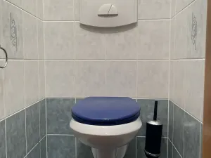 Pronájem bytu 2+1, Frenštát pod Radhoštěm, Školská čtvrť, 52 m2