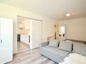 Prodej bytu 1+1, Milovice, Višňová, 42 m2