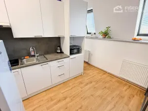 Pronájem bytu 1+kk, Valašské Meziříčí, Křižná, 30 m2