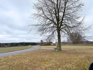 Prodej pozemku, Dolní Hořice - Hartvíkov, 432 m2