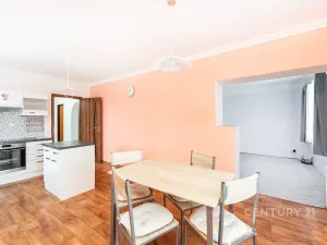 Prodej rodinného domu, Droužkovice, J. Švermy, 229 m2