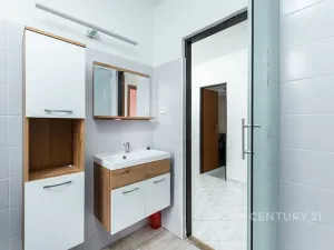 Prodej rodinného domu, Droužkovice, J. Švermy, 229 m2