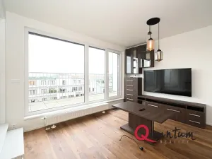 Pronájem bytu 1+kk, Praha - Dejvice, Lindleyova, 59 m2