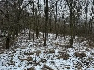 Prodej zahrady, Hustopeče, 4050 m2