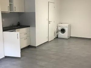 Pronájem bytu 1+kk, Brno, Křenová, 25 m2