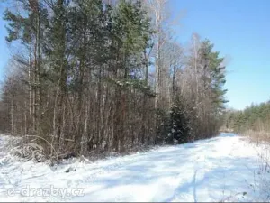 Dražba pozemku, Hamr na Jezeře, 23639 m2