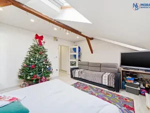 Prodej bytu 1+1, Olomouc, Javoříčská, 54 m2