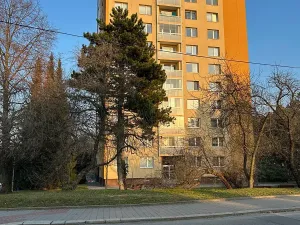 Pronájem bytu 1+1, Brno, Žitná, 35 m2