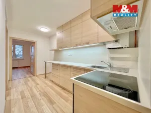 Prodej činžovního domu, Ostrava - Mariánské Hory, Daliborova, 150 m2