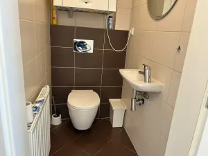 Pronájem bytu 3+kk, Praha - Vinohrady, Lublaňská, 78 m2