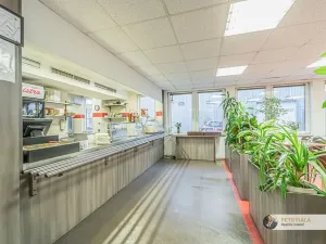 Pronájem kanceláře, Praha - Dolní Chabry, Dopraváků, 258 m2