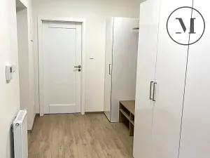 Pronájem bytu 2+kk, České Budějovice, K. Weise, 42 m2