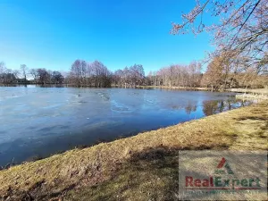 Prodej chaty, Struhařov, Na Výsluní, 80 m2