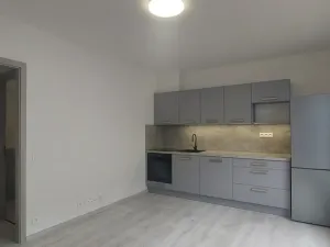 Pronájem bytu 2+kk, České Budějovice - České Budějovice 3, Hálkova, 38 m2