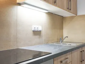 Pronájem bytu 1+kk, Plzeň, Železniční, 43 m2