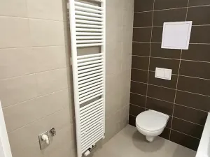 Pronájem bytu 1+kk, Plzeň, Železniční, 43 m2