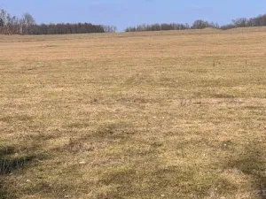 Prodej louky, Zelenecká Lhota - Záhuby, 2058 m2