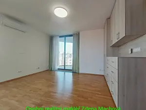 Pronájem bytu 1+kk, Praha - Žižkov, 38 m2
