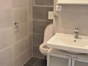 Pronájem bytu 1+1, Brno, Srbská, 35 m2