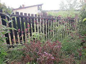 Prodej rodinného domu, Klecany, Na skalkách, 115 m2