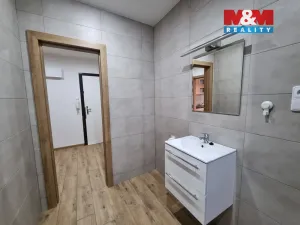 Pronájem bytu 1+1, Ostrava - Moravská Ostrava, 60 m2