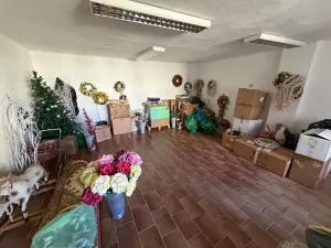 Prodej obchodního prostoru, Pelhřimov, 342 m2